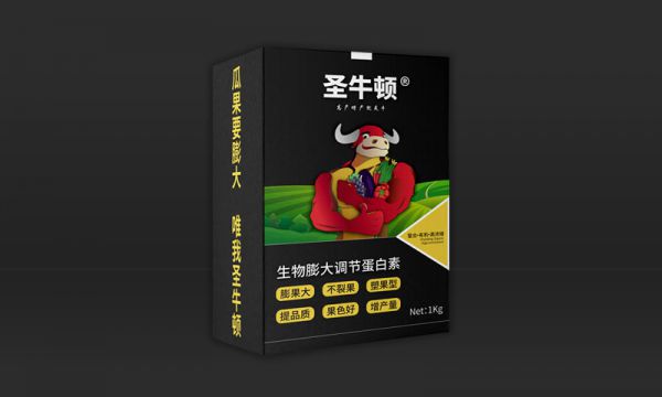 圣牛顿